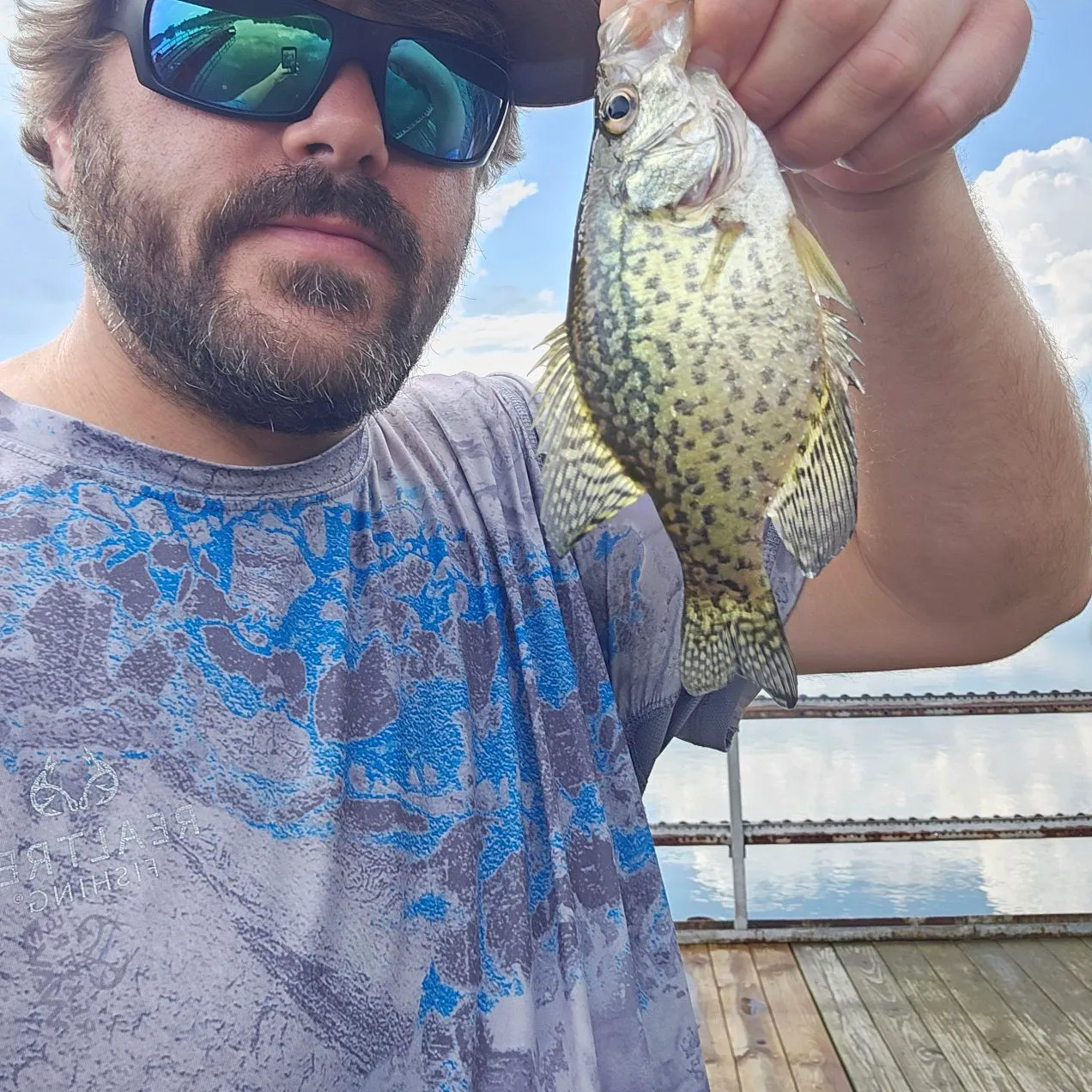 Black crappie caught on Fishbrain