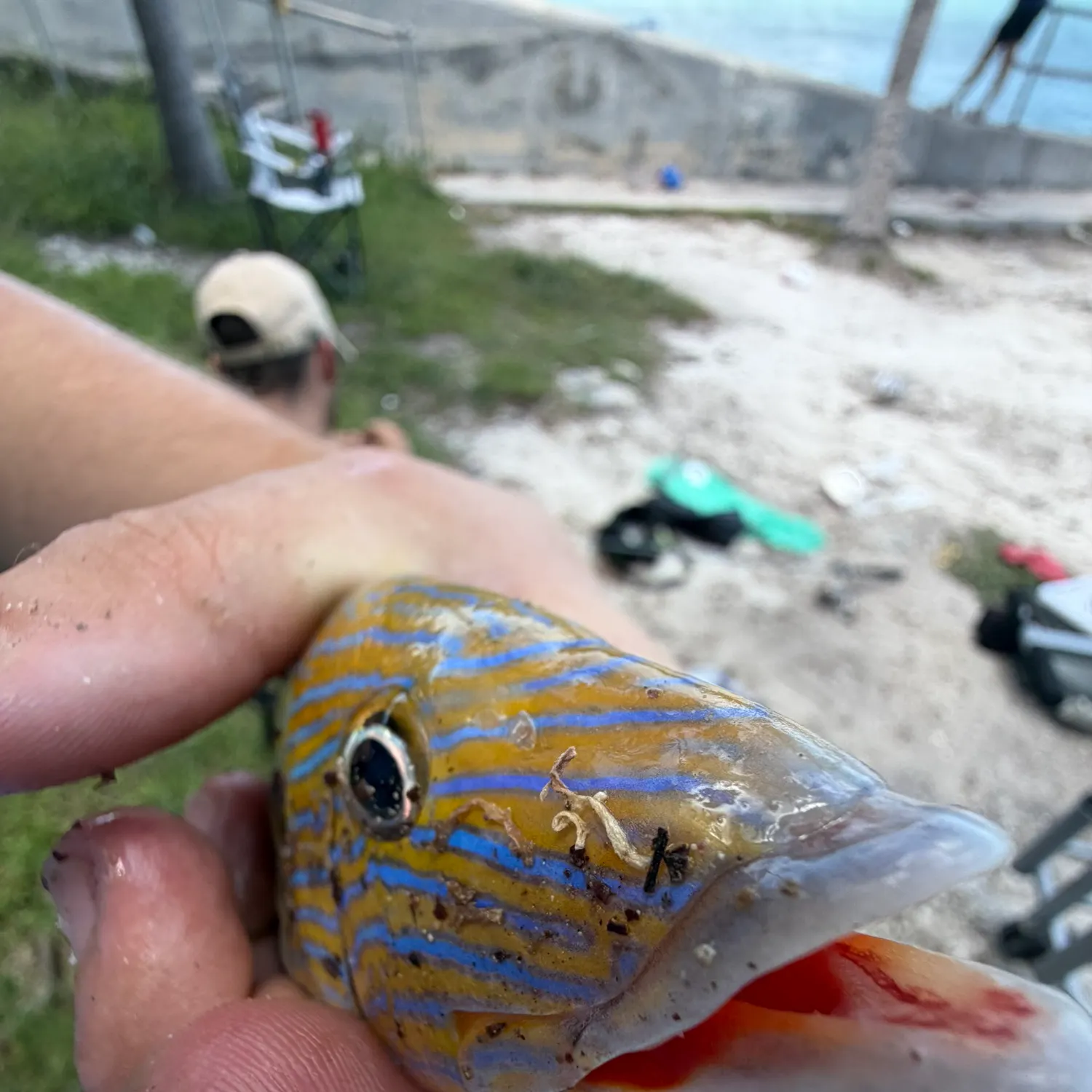 catch