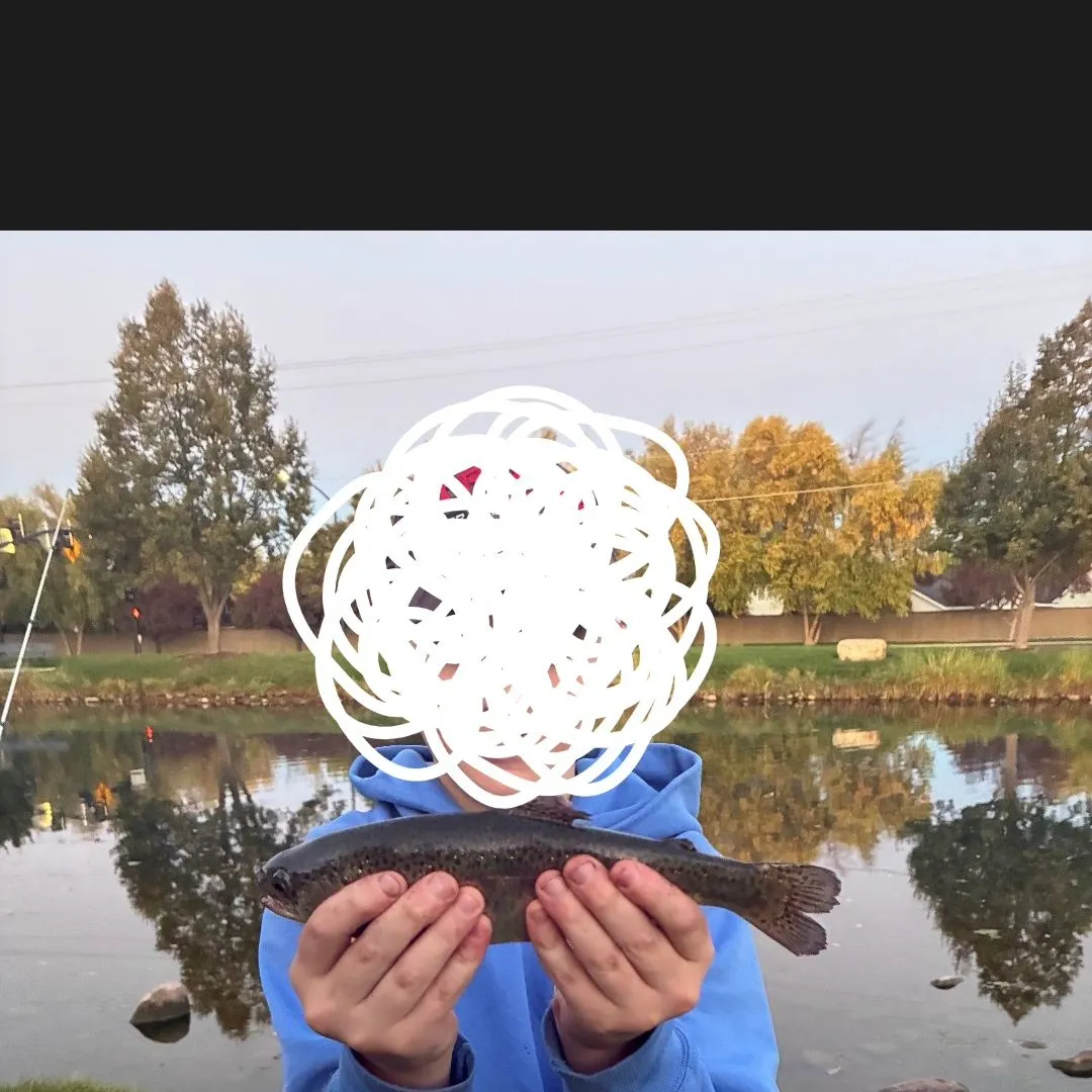 Rainbow trout caught on Fishbrain