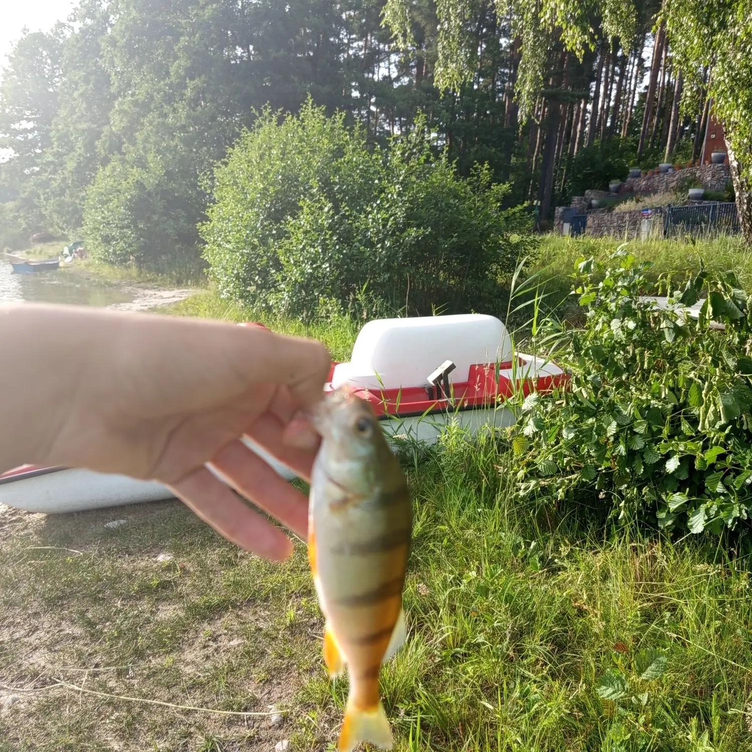 catch