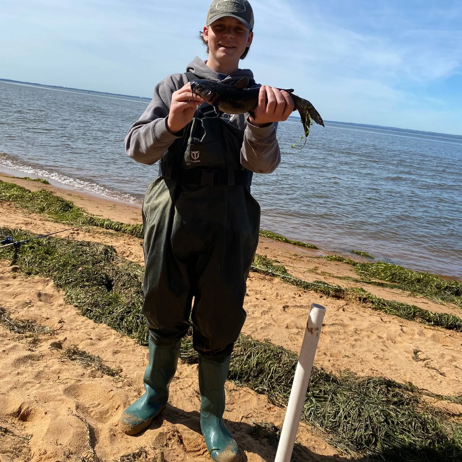 Channel catfish caught on Fishbrain