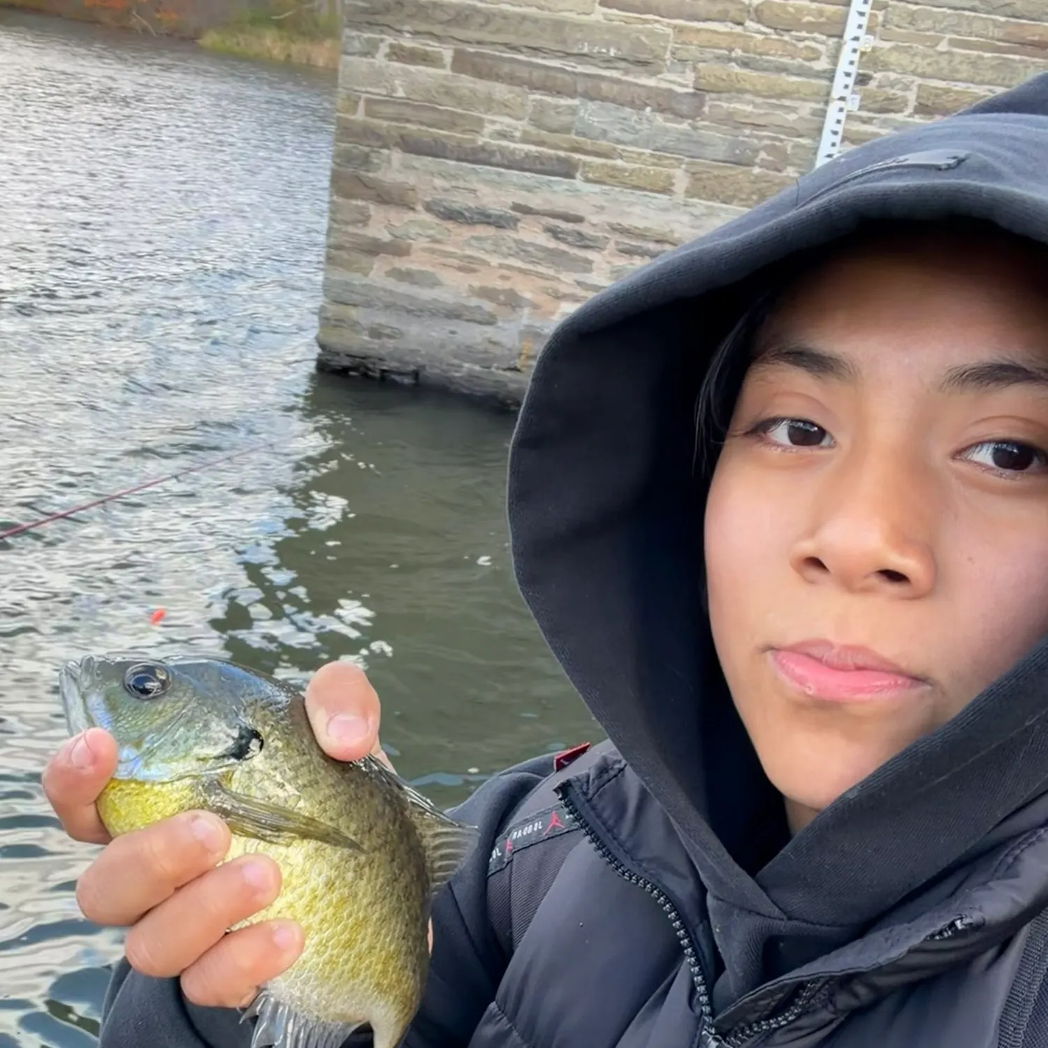 Bluegill caught on Fishbrain