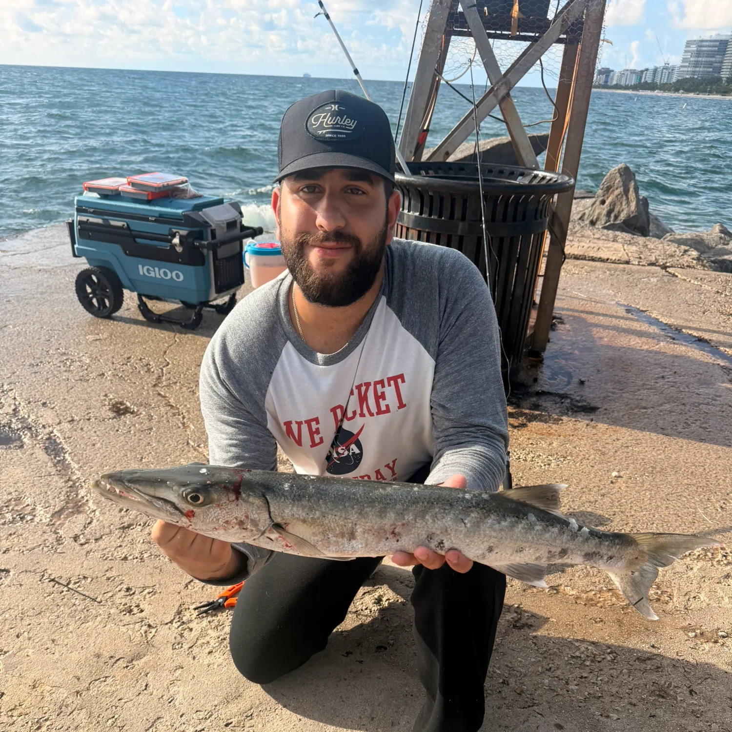 Great barracuda caught on Fishbrain