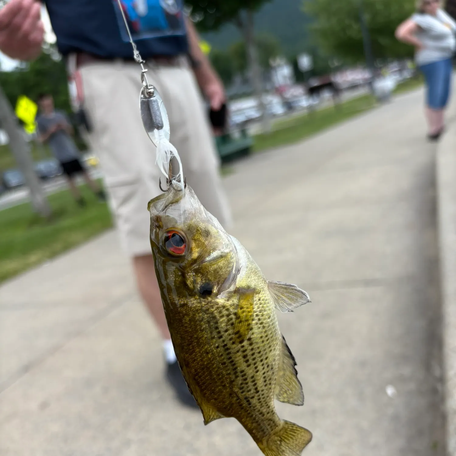 catch