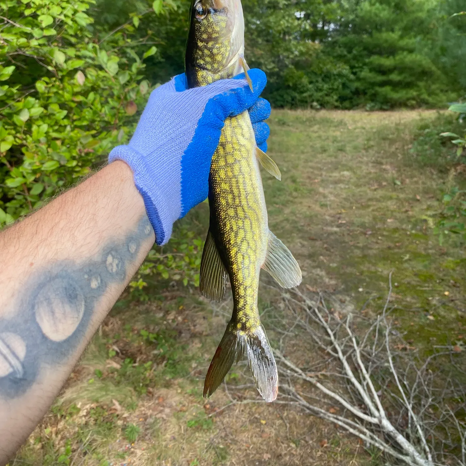 catch
