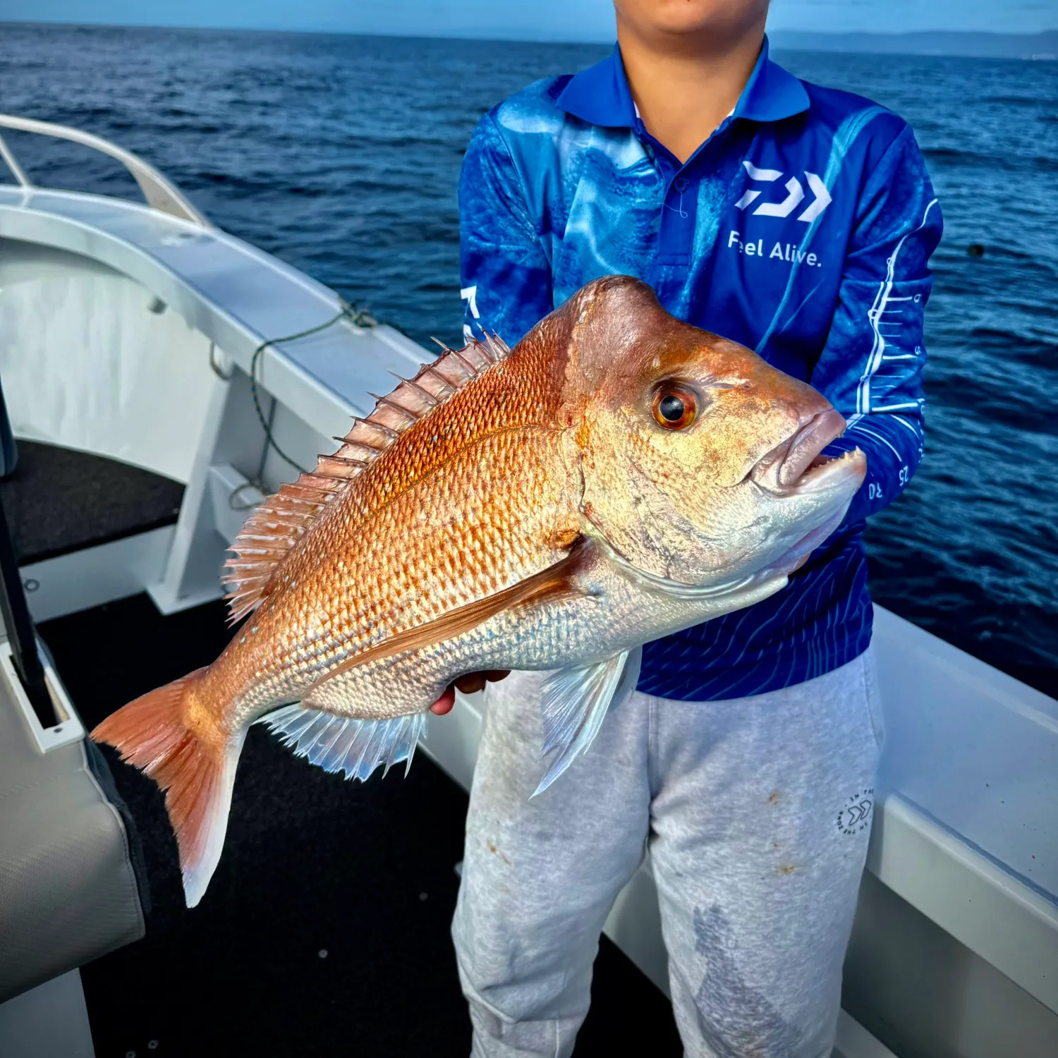 The most recent Australasian snapper catches on Fishbrain