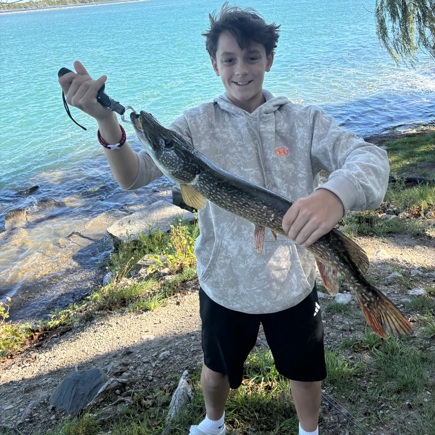 Northern pike caught on Fishbrain