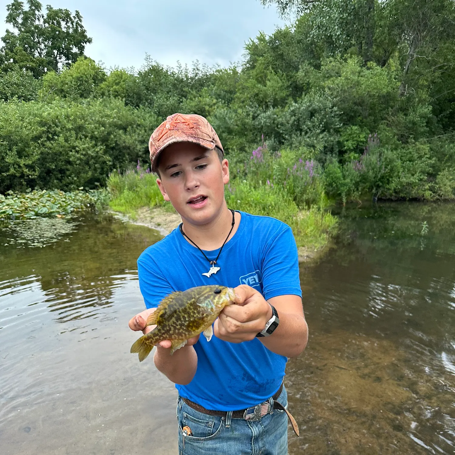 The most recent Warmouth catches on Fishbrain