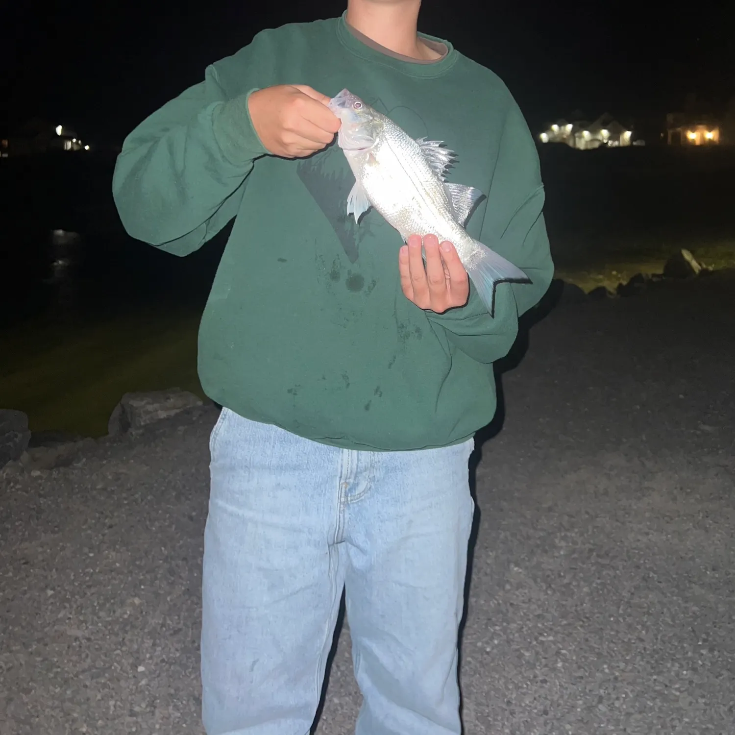 White bass caught on Fishbrain