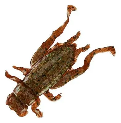 Crickets