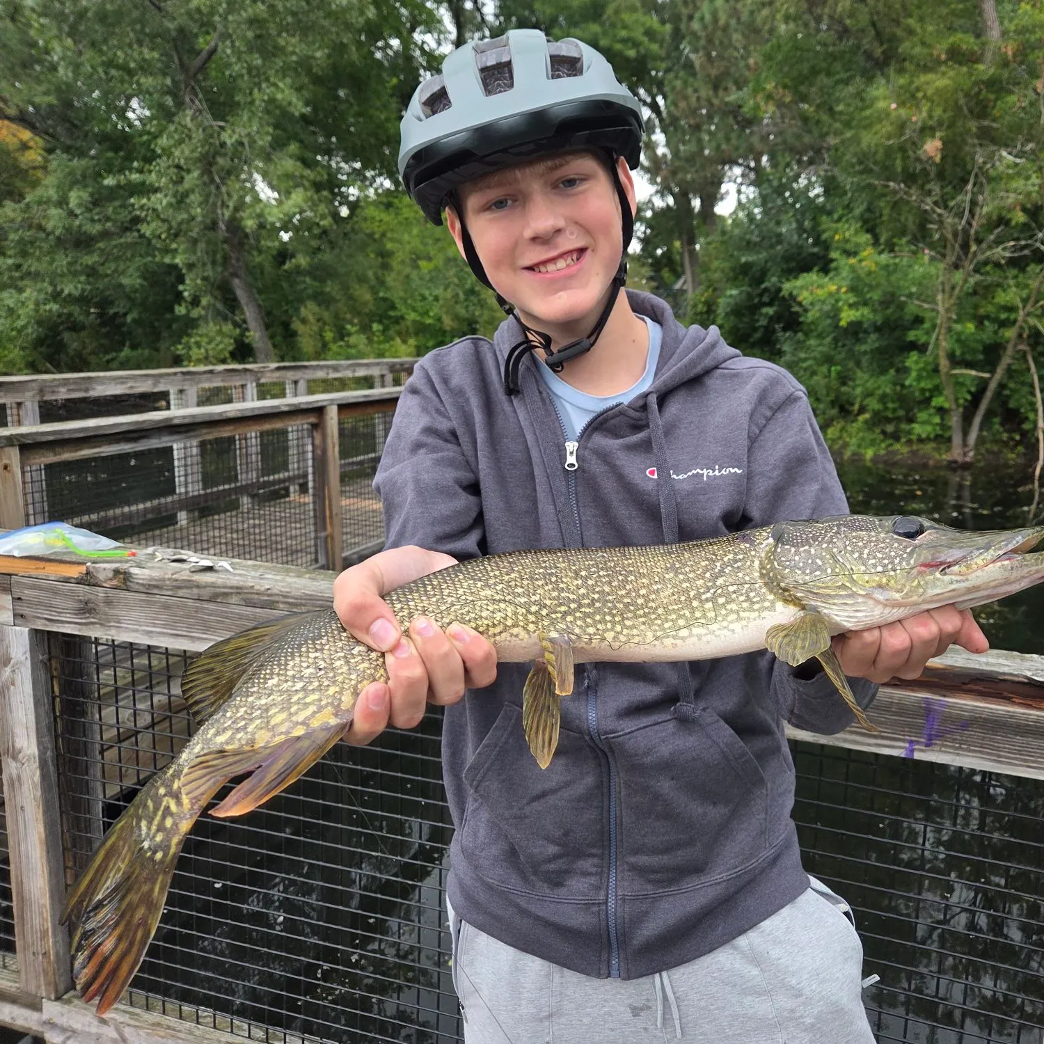 Northern pike caught on Fishbrain