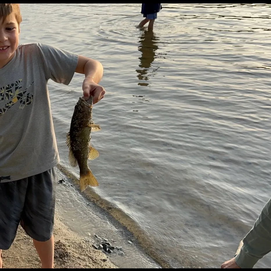 Walleye caught on Fishbrain