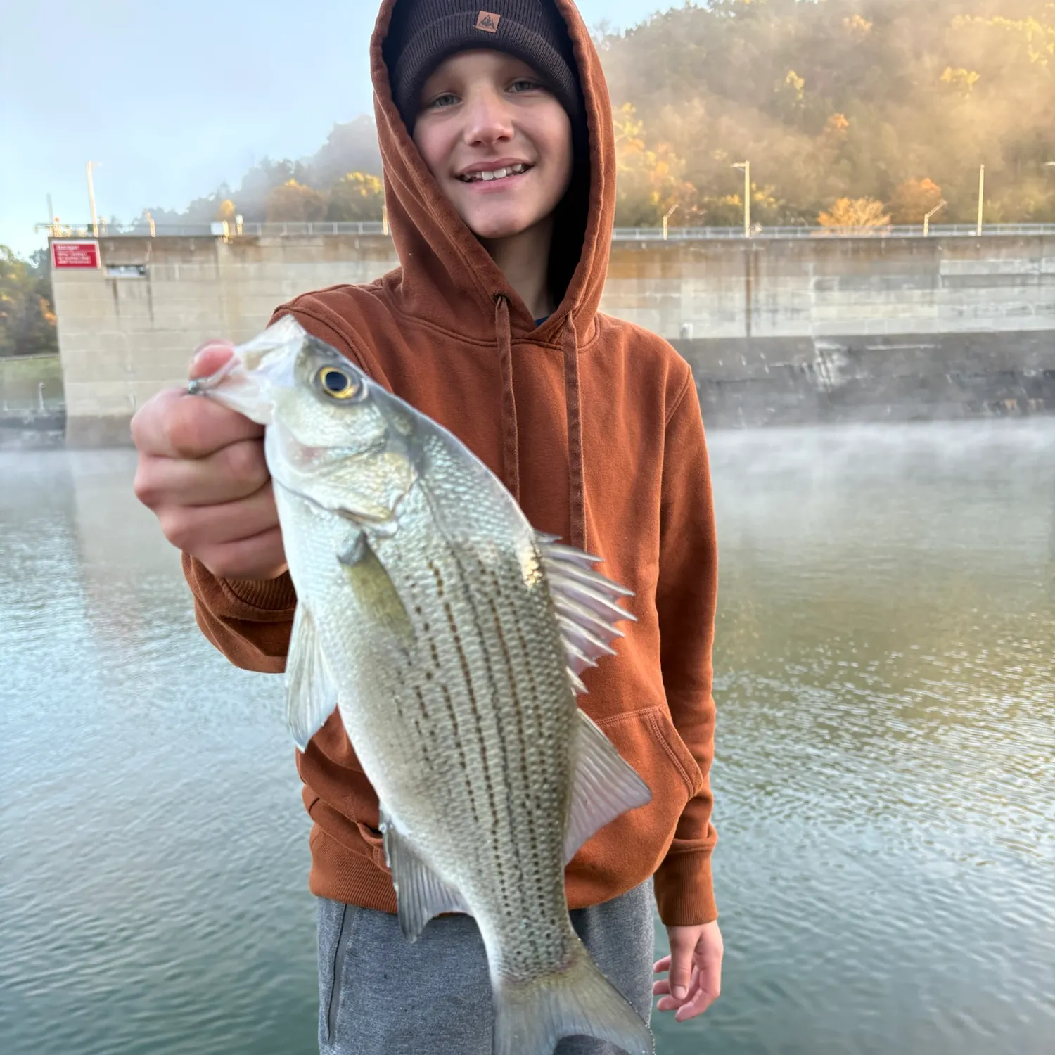 White bass caught on Fishbrain