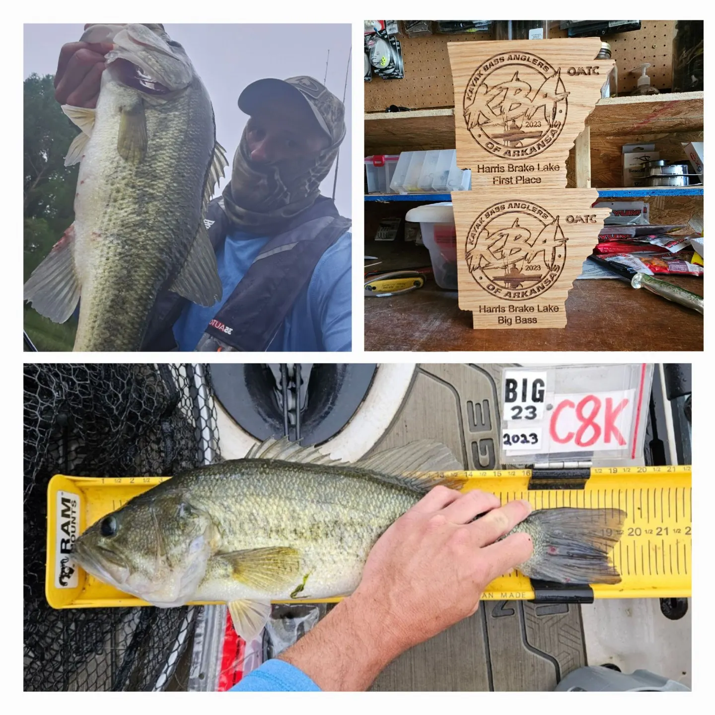 recently logged catches