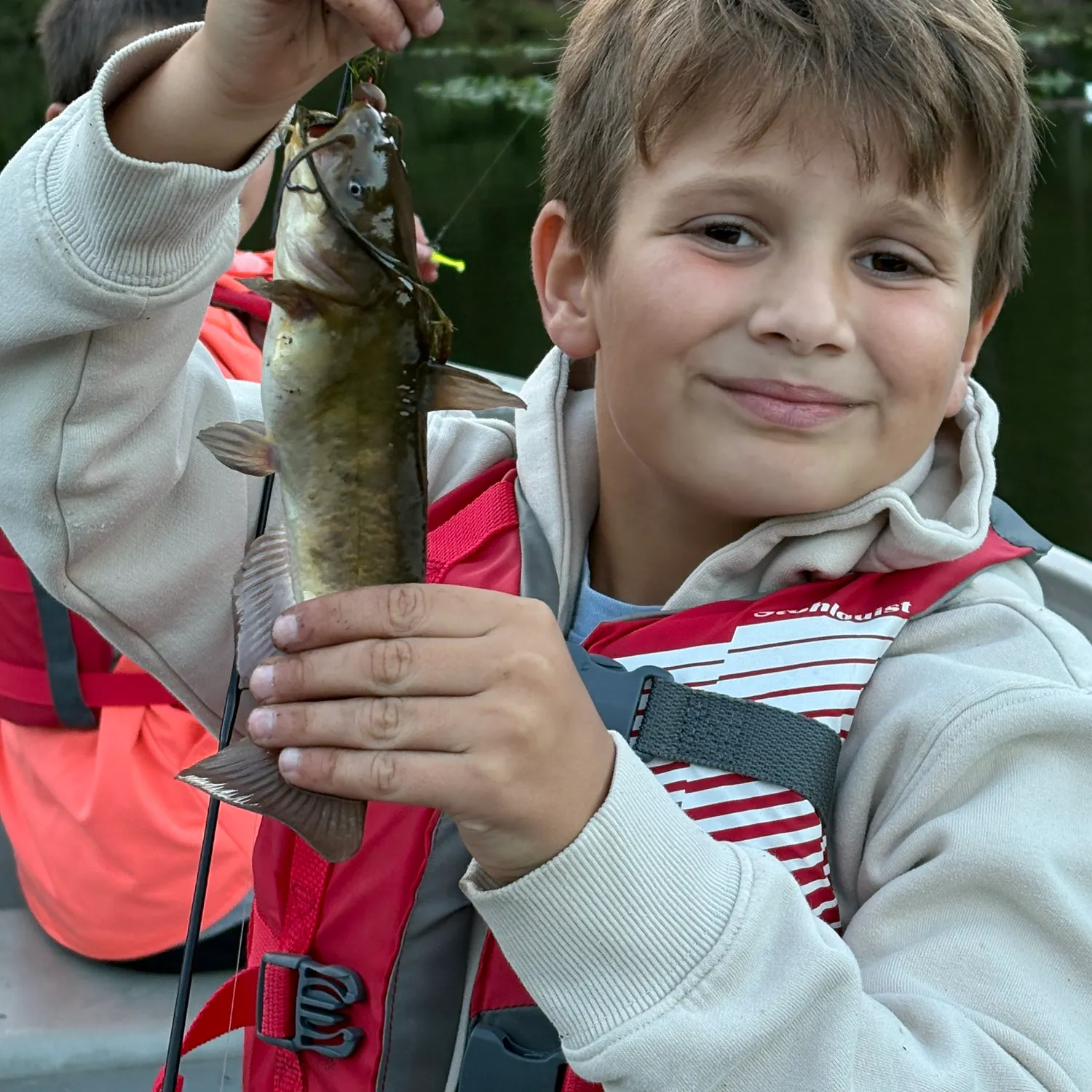 Yellow bullhead caught on Fishbrain