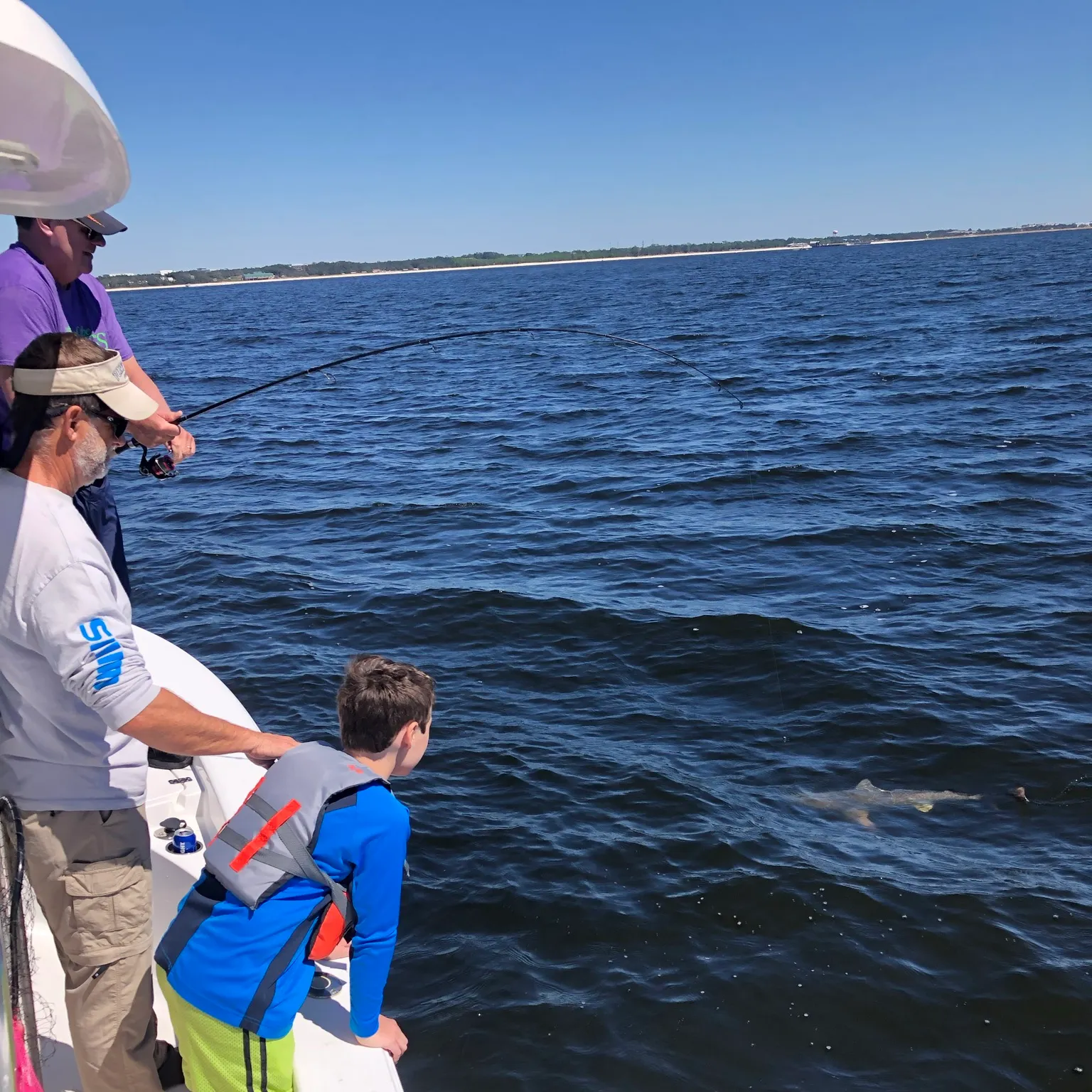 The most recent Tiger shark catches on Fishbrain