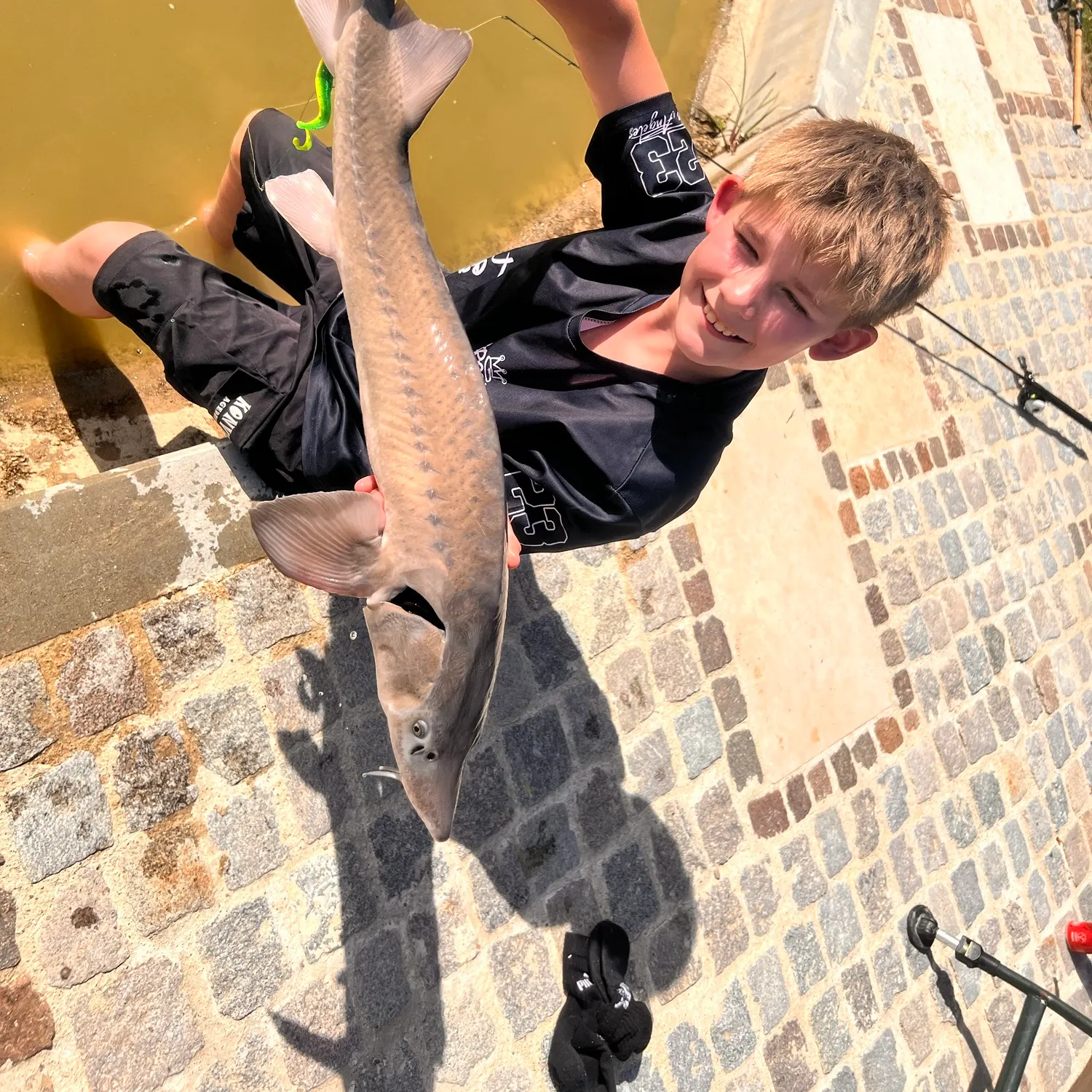 The most recent Green sturgeon catches on Fishbrain