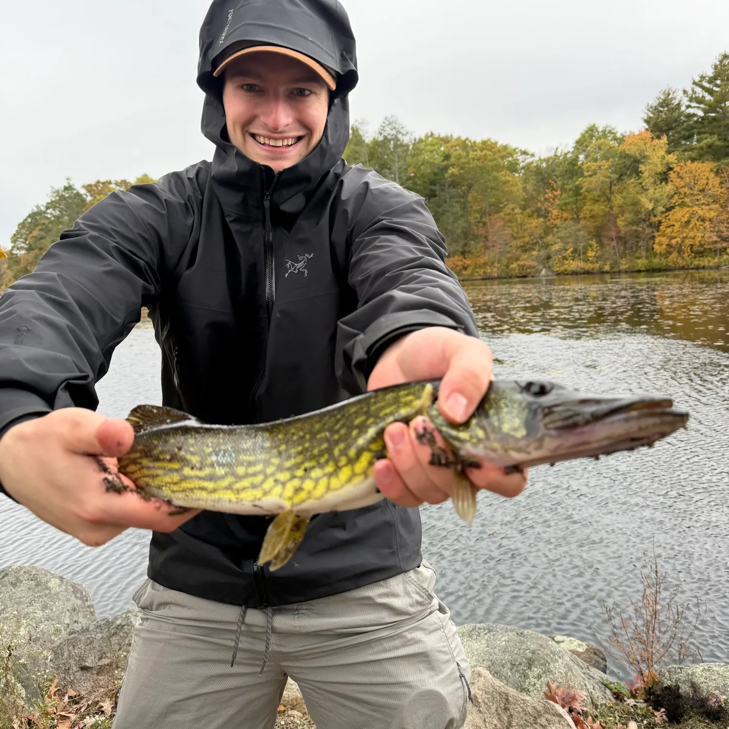 Chain pickerel caught on Fishbrain