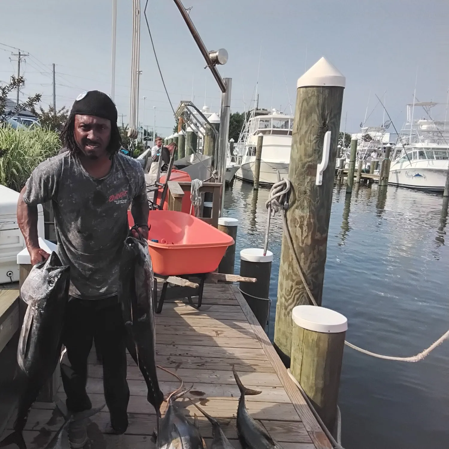 recently logged catches