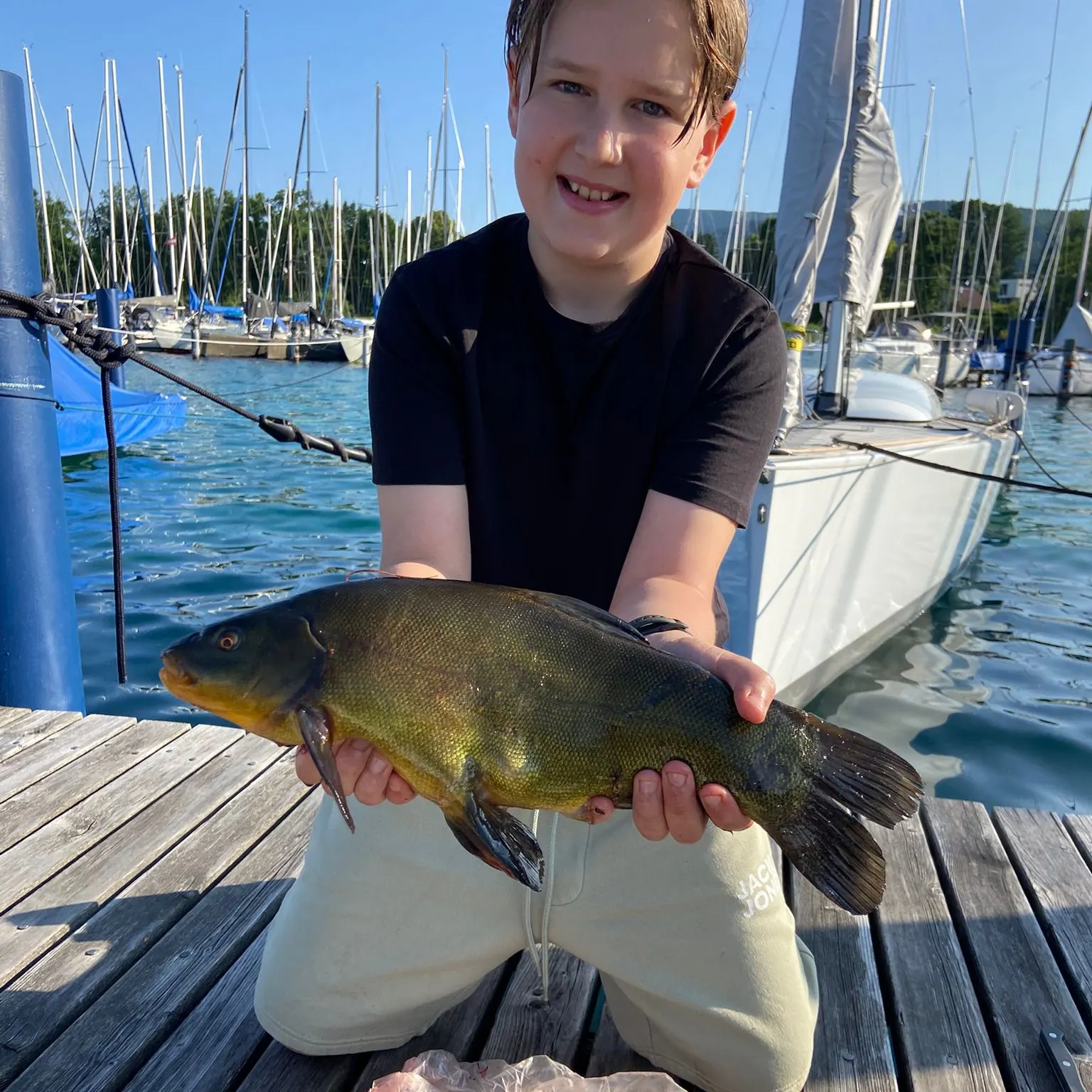 The most recent Tench catches on Fishbrain