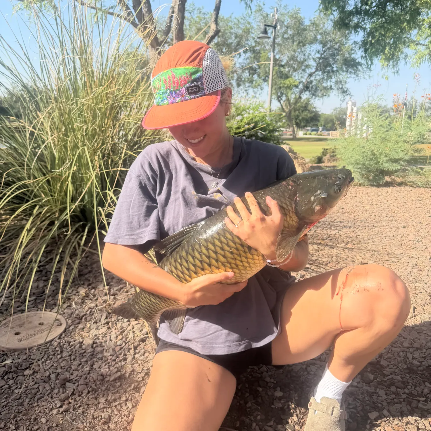 catch