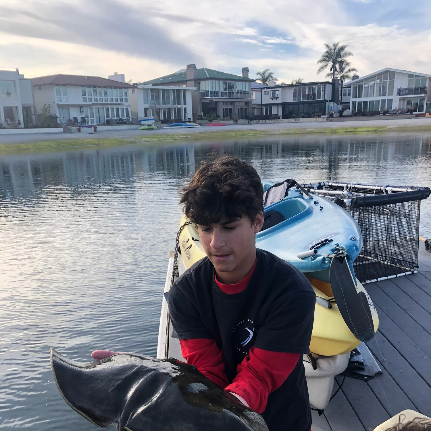 The most recent Spiny butterfly ray catches on Fishbrain