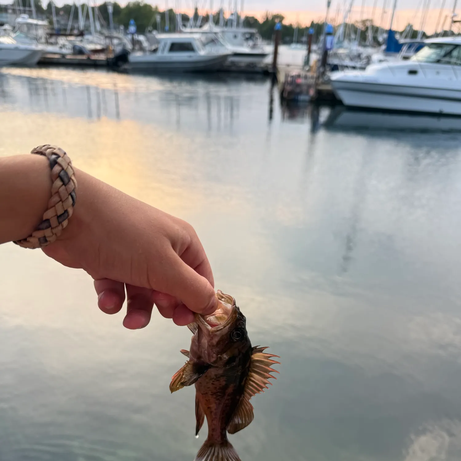 catch