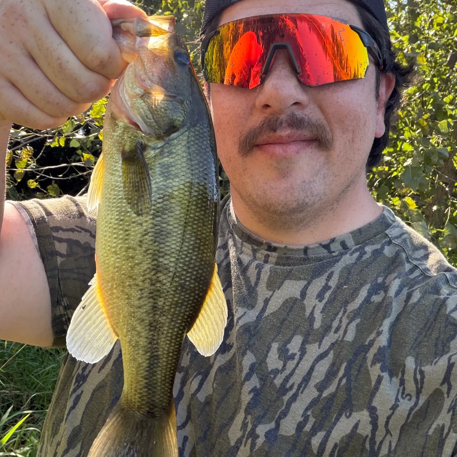Largemouth bass caught on Fishbrain