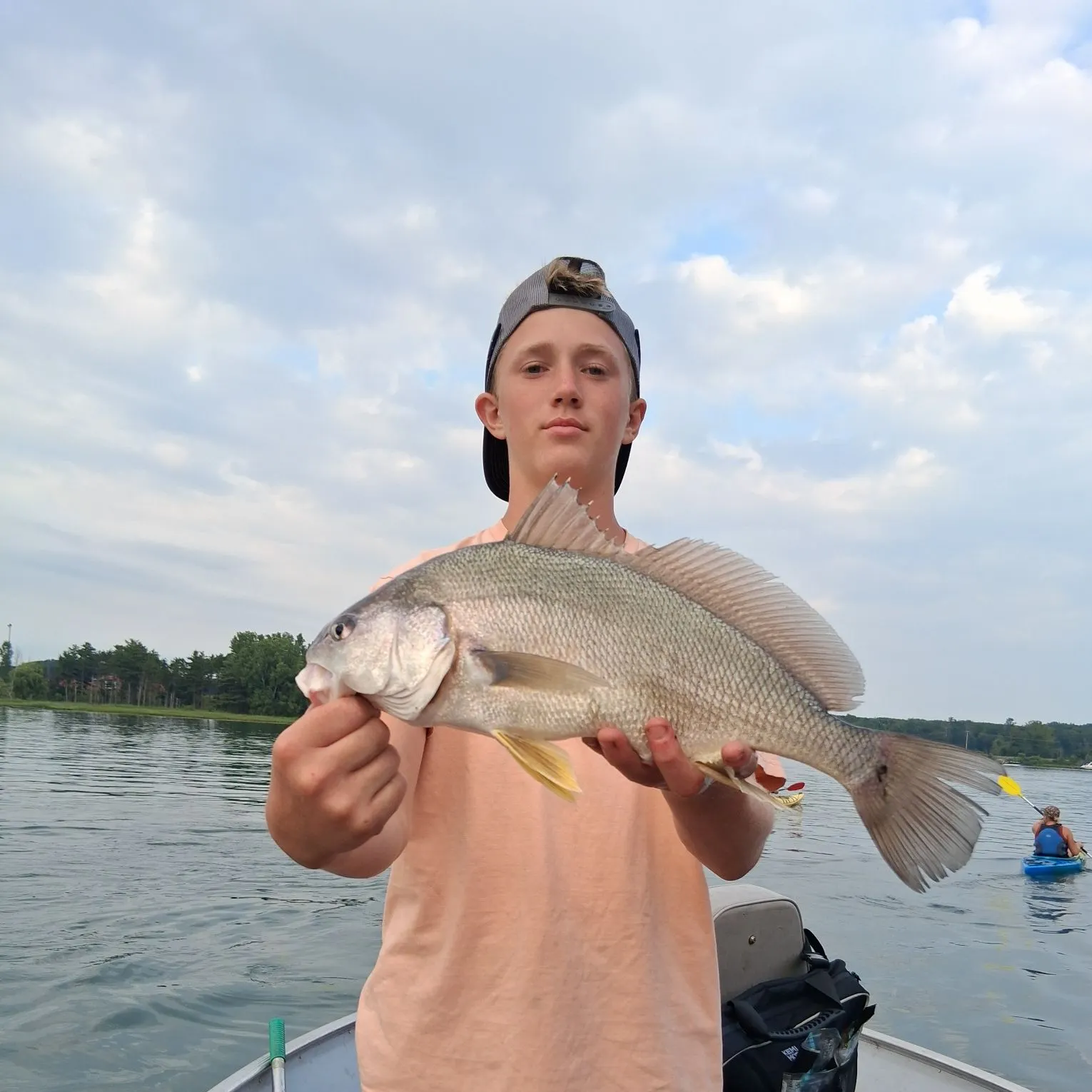 Freshwater drum caught on Fishbrain