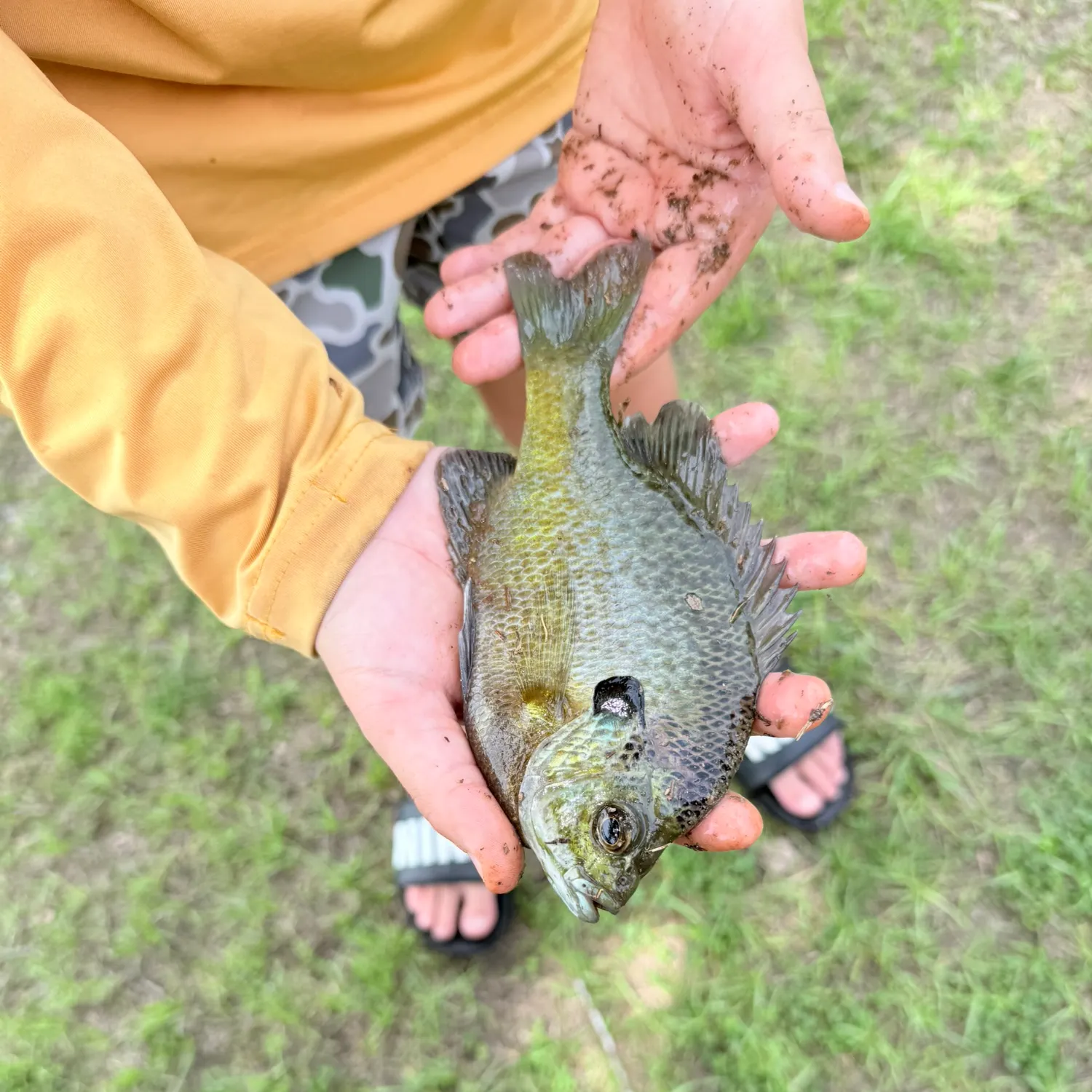 catch