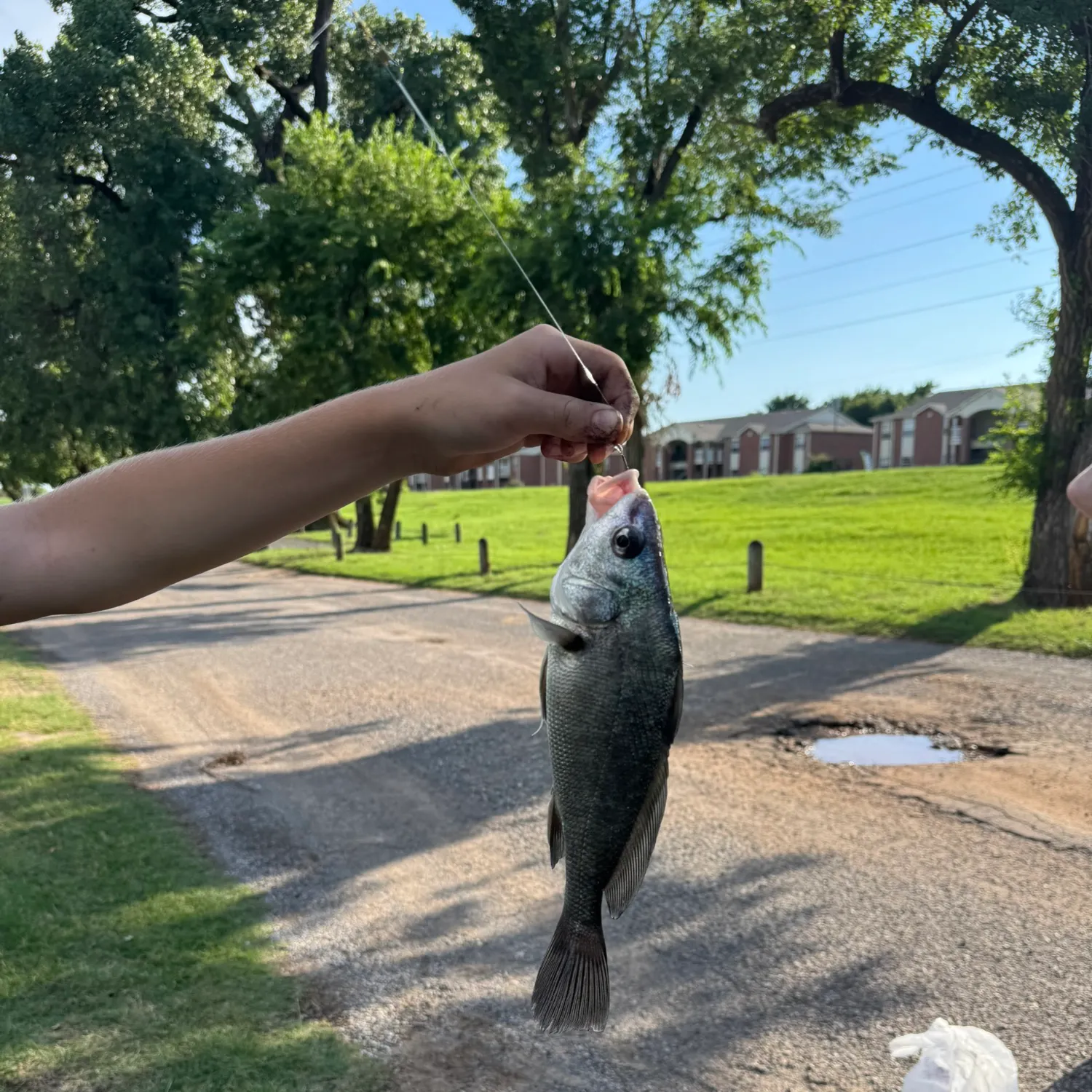catch