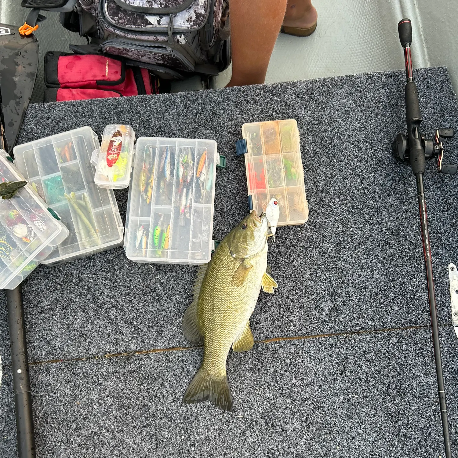 recently logged catches