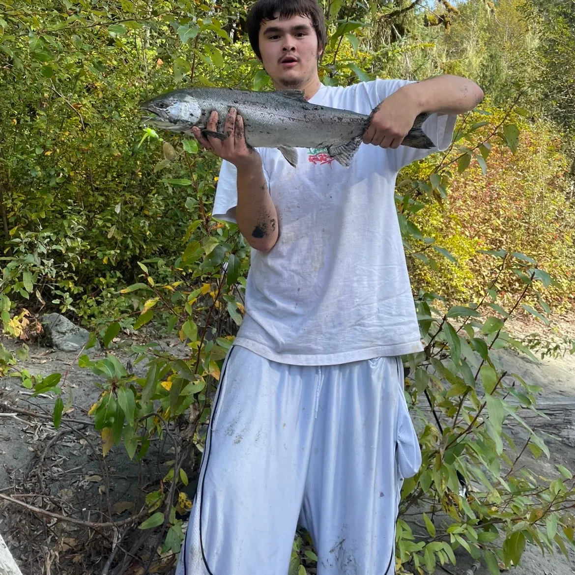 Coho salmon caught on Fishbrain