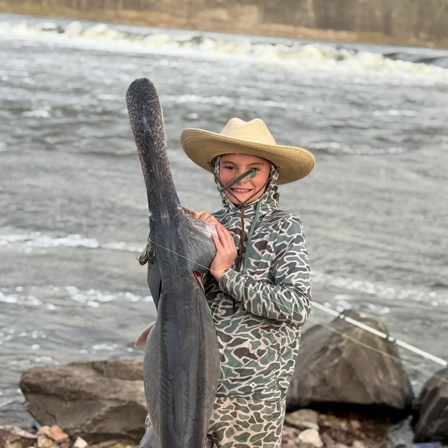 The most recent Shovelnose sturgeon catches on Fishbrain