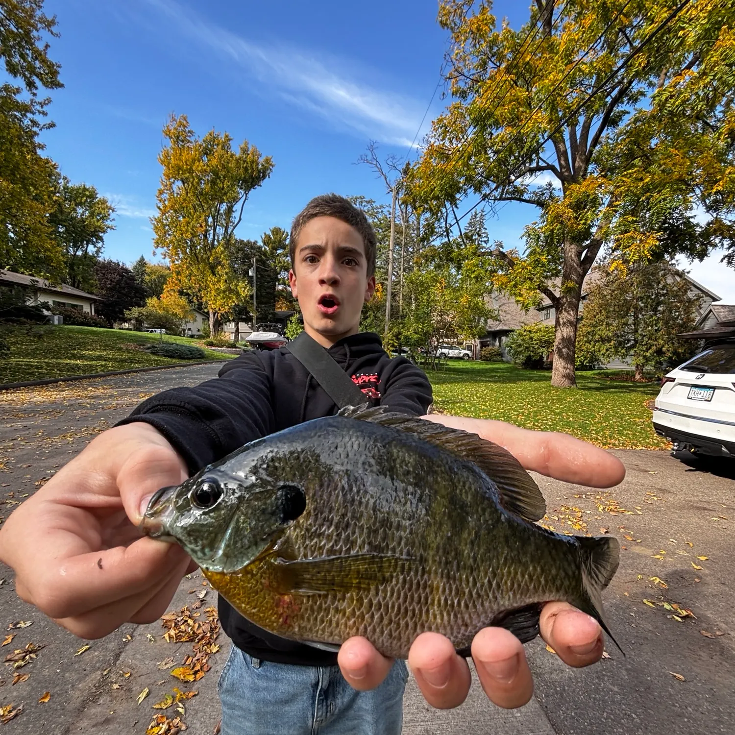 catch