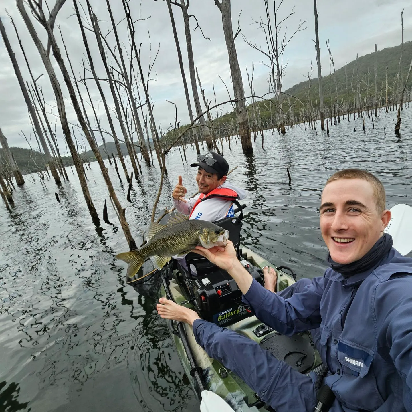 Australian bass caught on Fishbrain