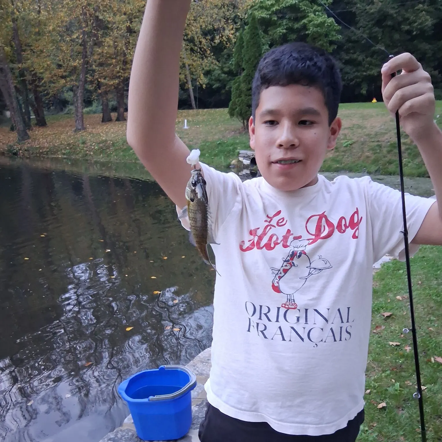 Bluegill caught on Fishbrain