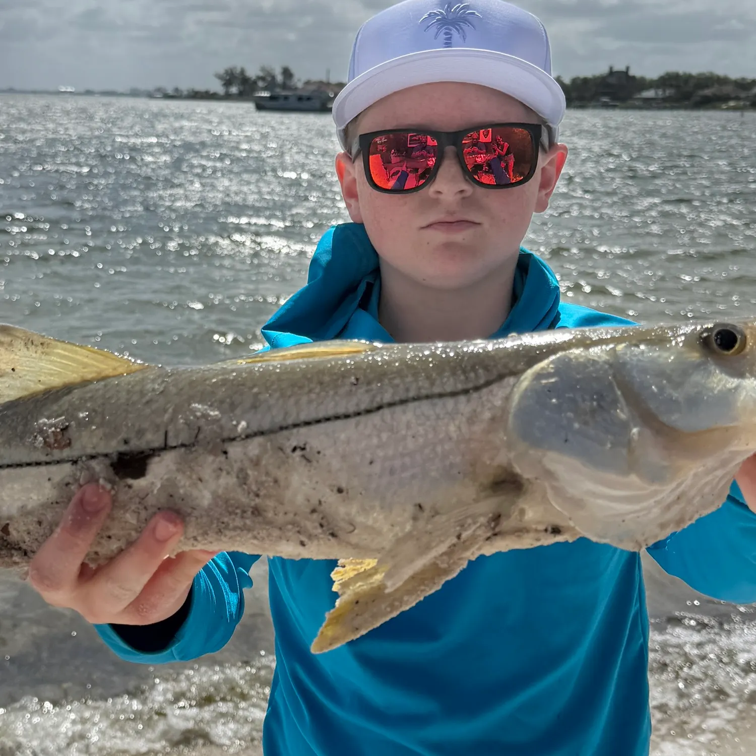 The most recent Common snook catches on Fishbrain