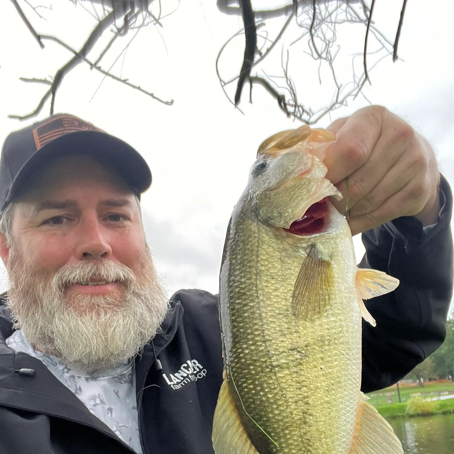 Largemouth bass caught on Fishbrain