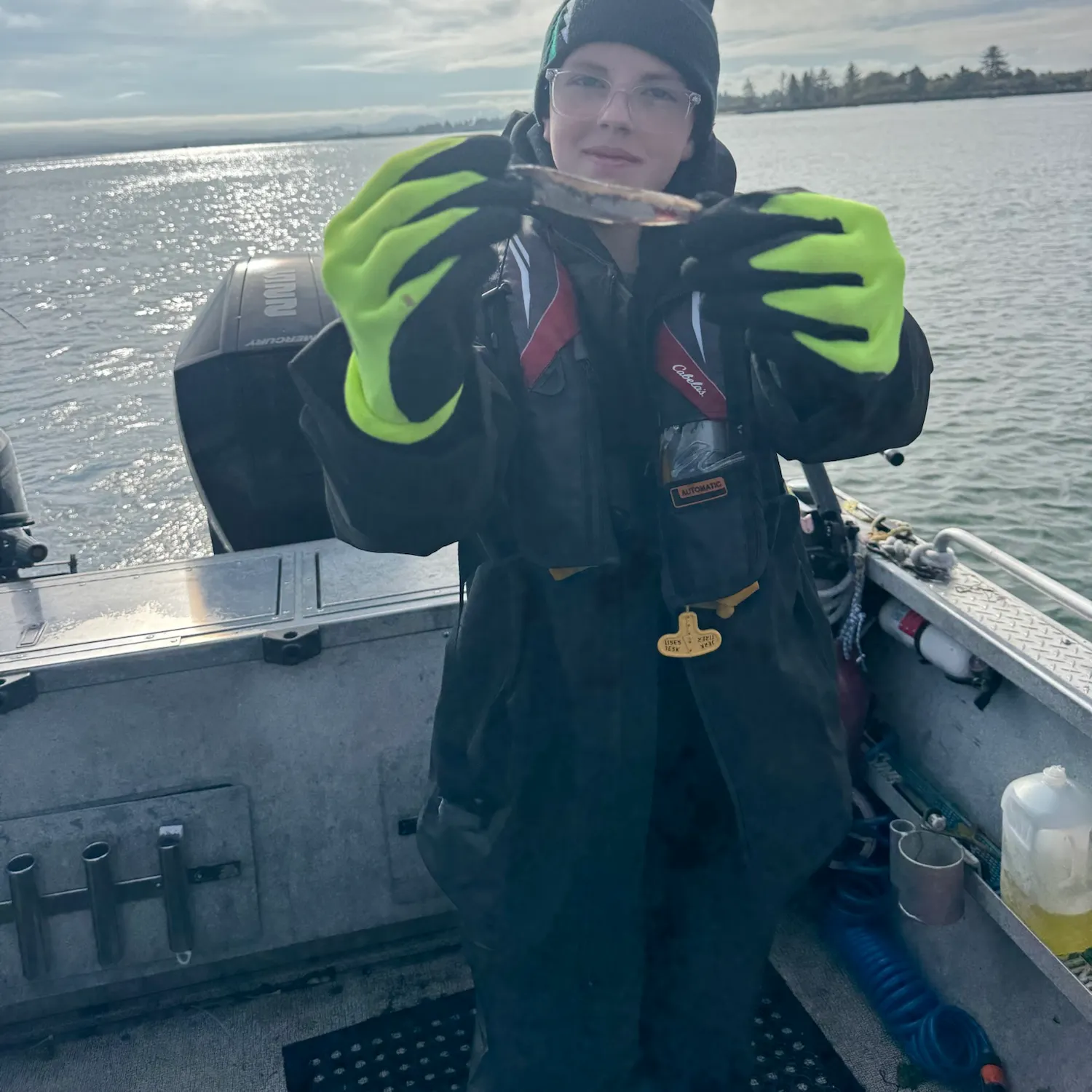 The most recent Northern anchovy catches on Fishbrain