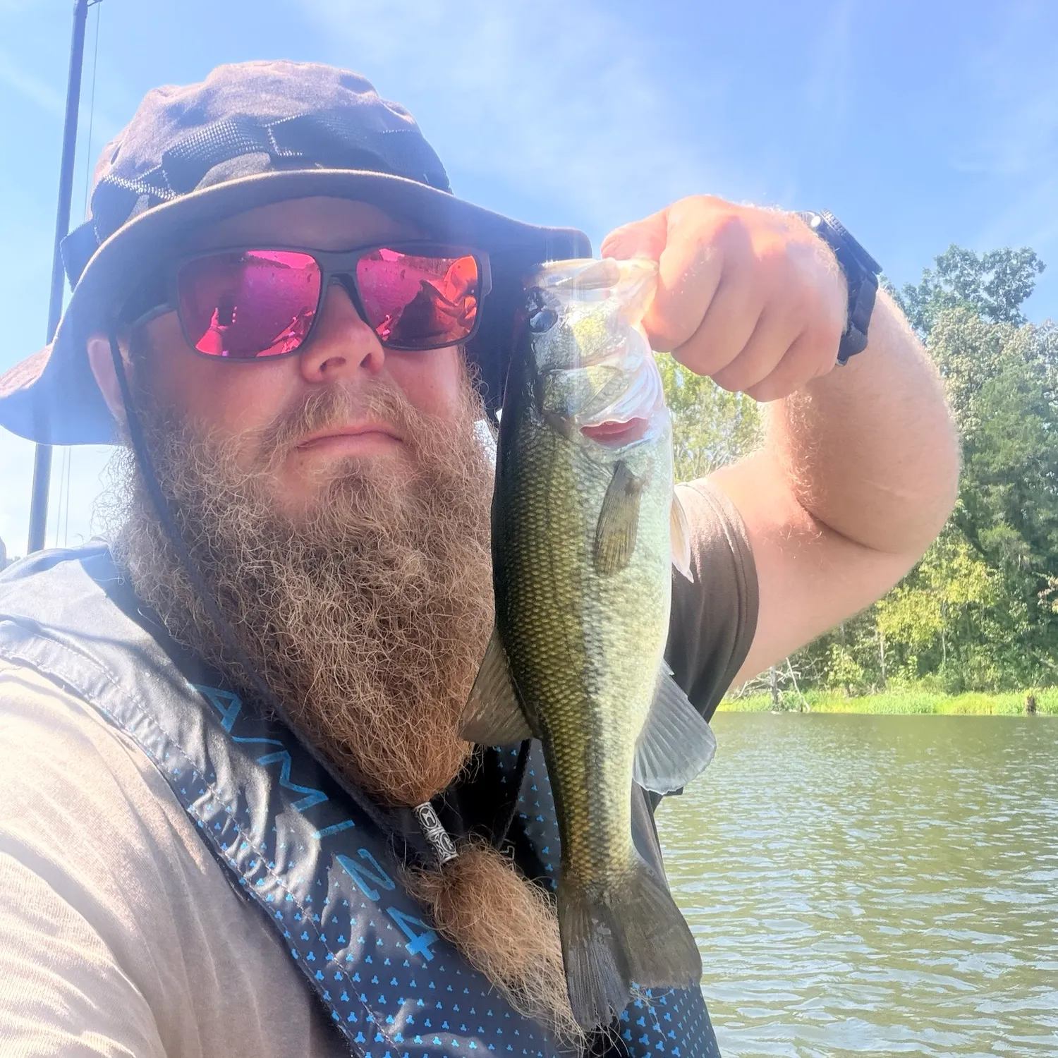 Largemouth bass caught on Fishbrain