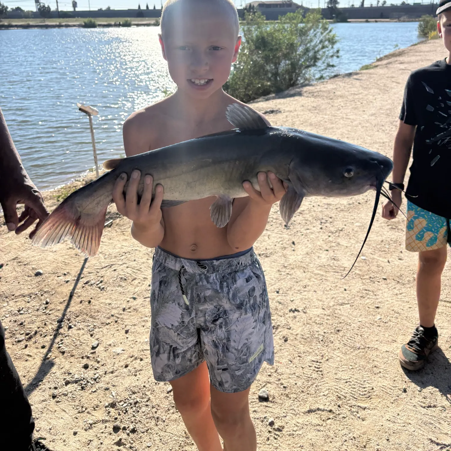 Channel catfish caught on Fishbrain