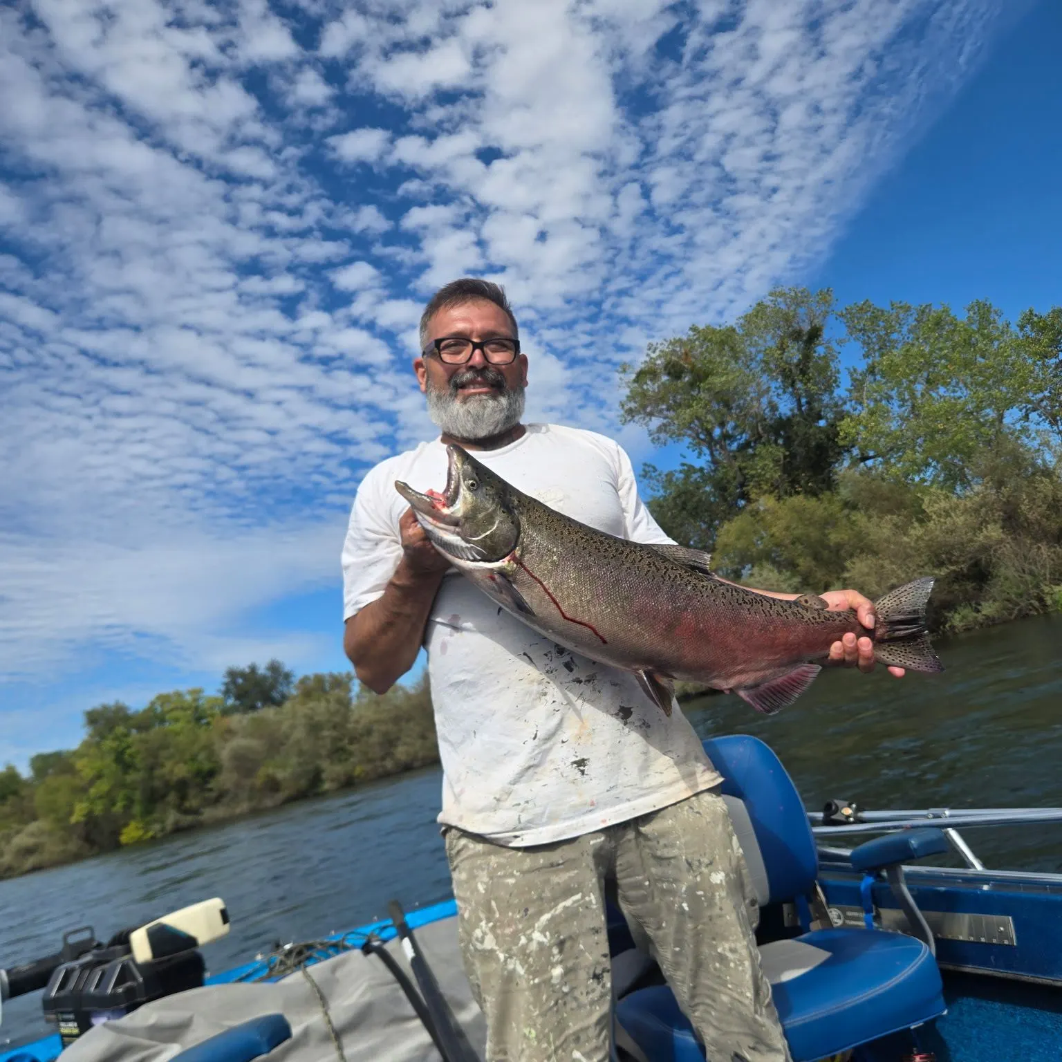 The most recent Coho salmon catches on Fishbrain