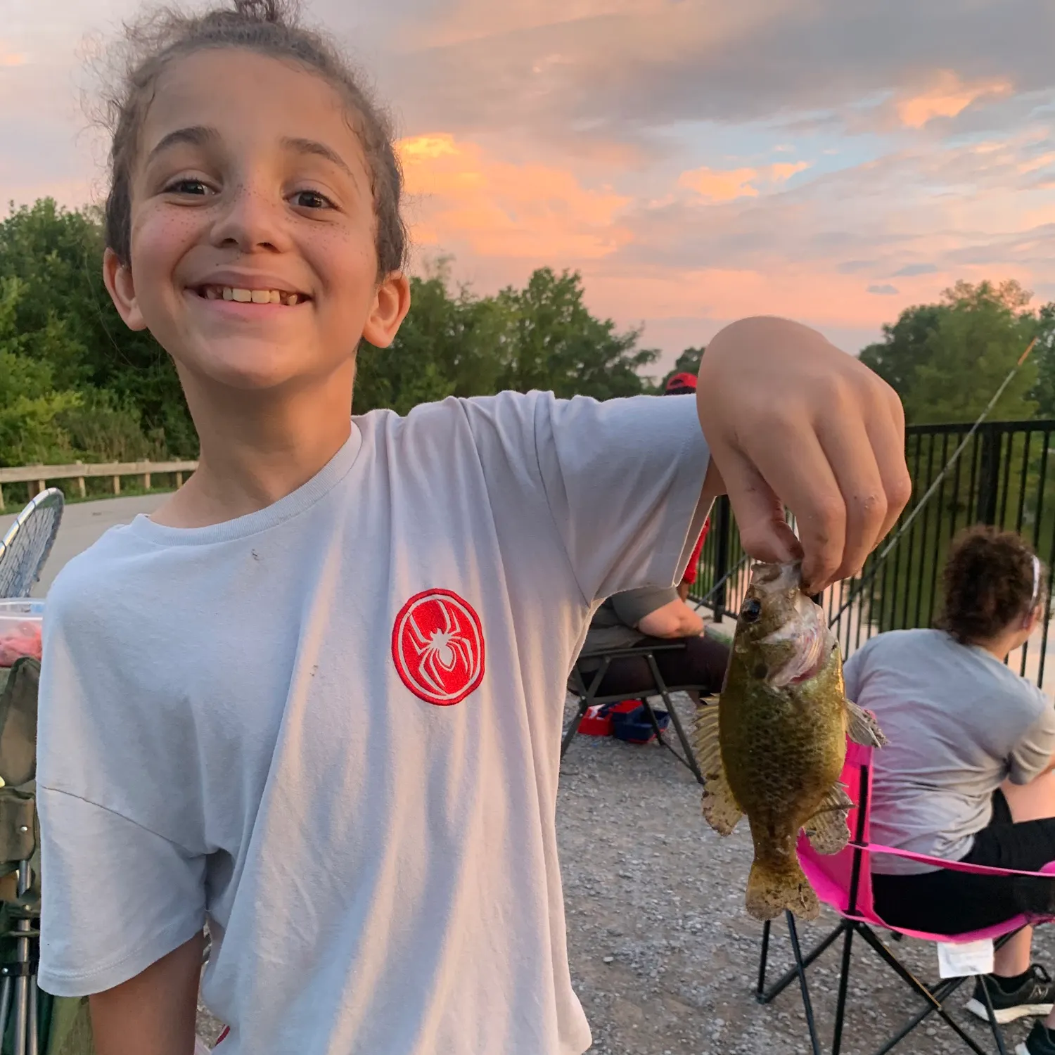 The most recent Redeye bass catches on Fishbrain