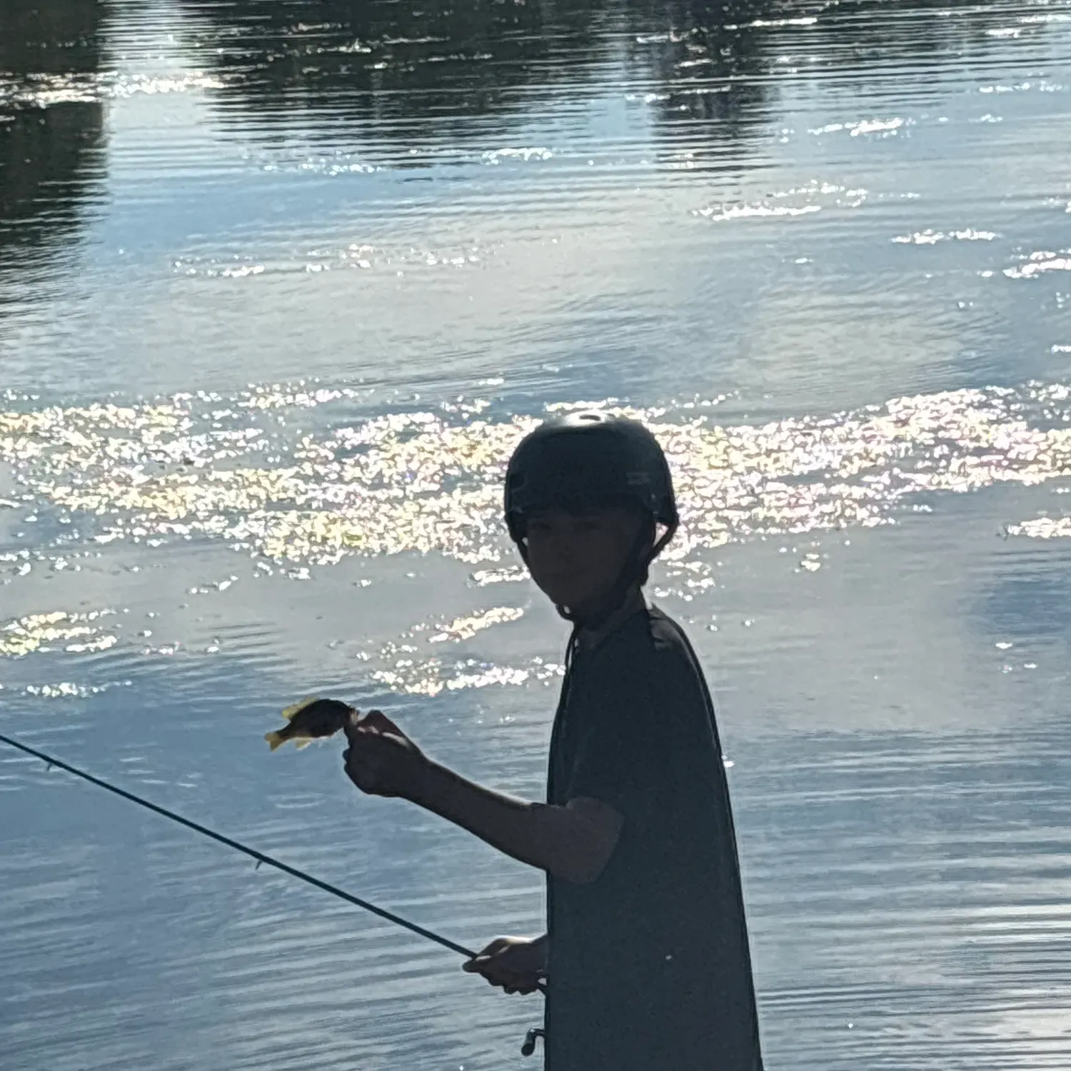 Green sunfish caught on Fishbrain