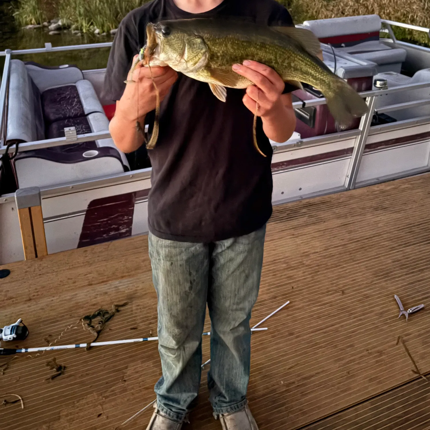 Fish caught on Fishbrain