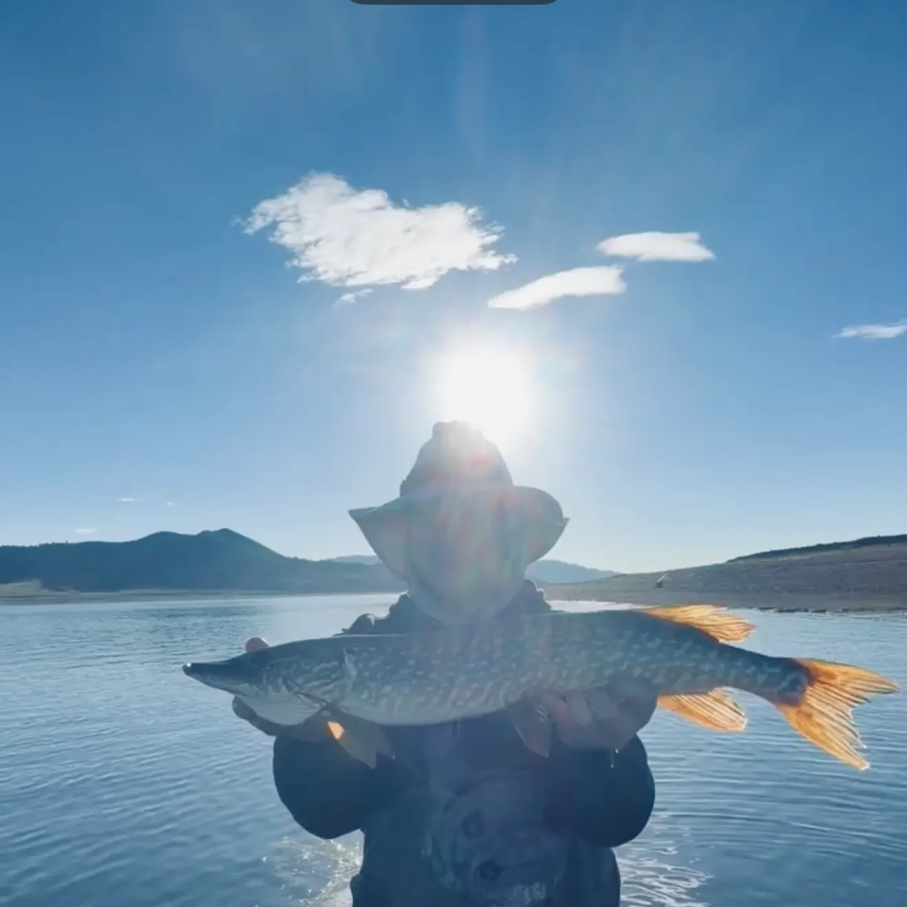 Northern pike caught on Fishbrain