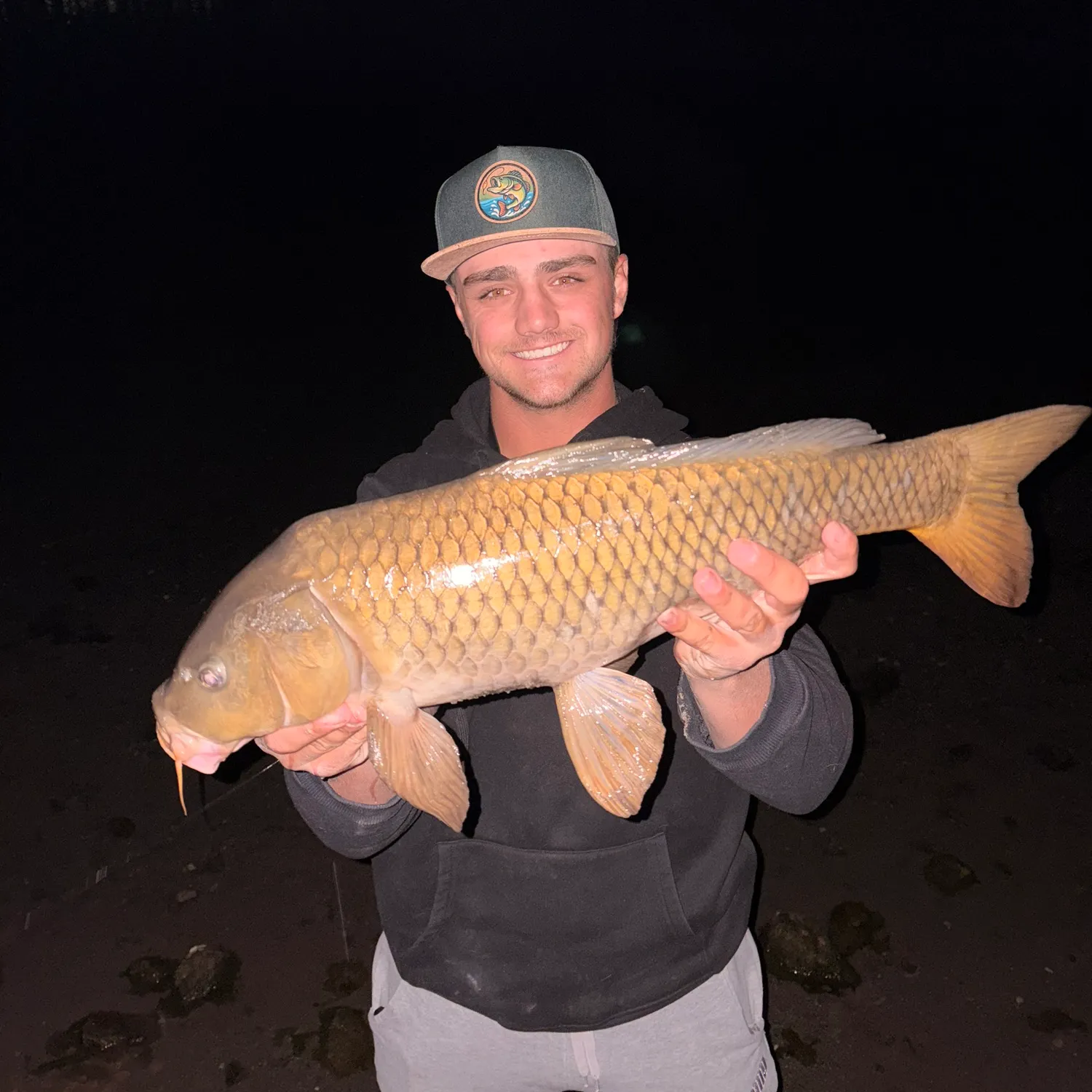 Common carp caught on Fishbrain