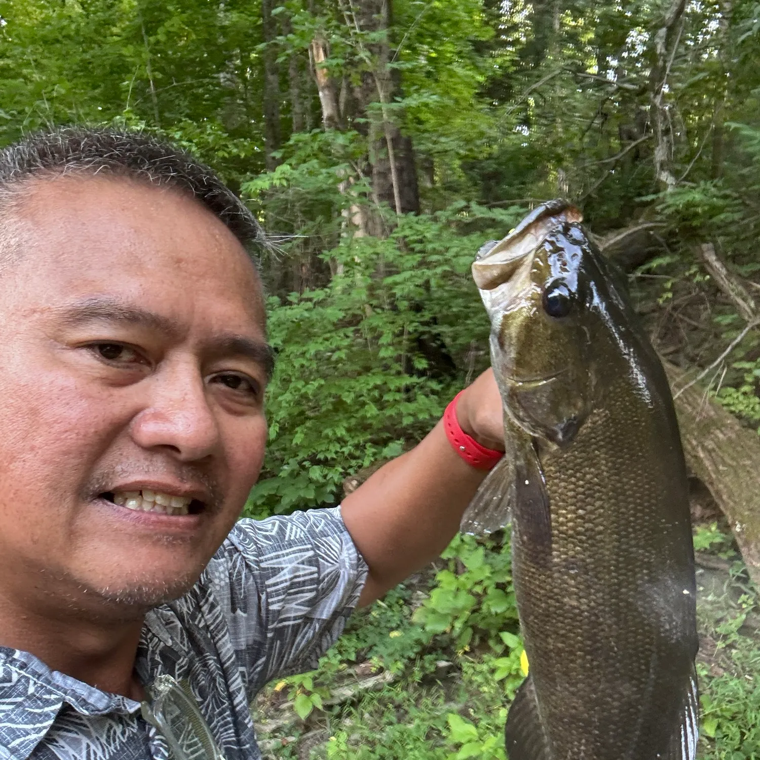 Smallmouth bass caught on Fishbrain