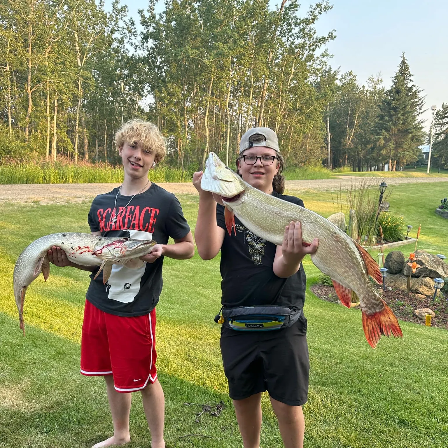 recently logged catches